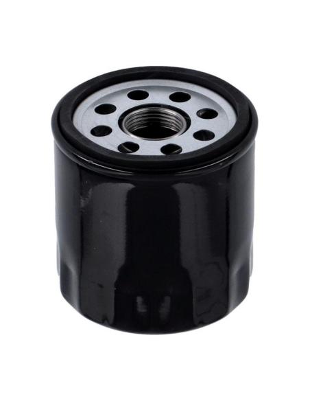 Acquista Filtro Olio Nero Hd Motore Revolution Max a prezzo scontato