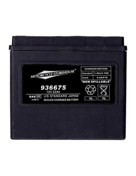 BATTERIE AGM SÉRIE STANDARD MCS YTX20H