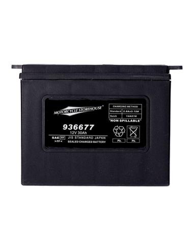 BATERIA AGM SÉRIE STANDARD MCS YHD-12