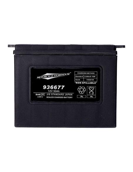 BATERIA AGM SÉRIE STANDARD MCS YHD-12