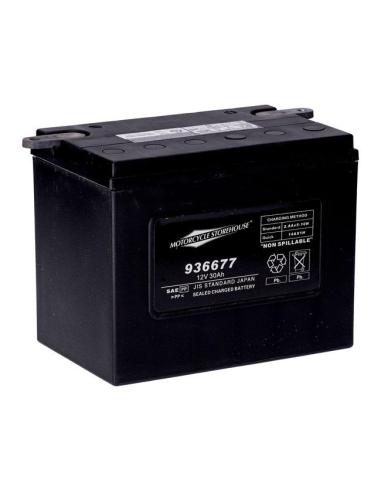 BATERIA AGM SÉRIE STANDARD MCS YHD-12