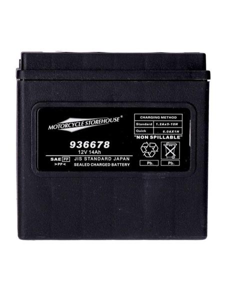 BATERIA AGM SÉRIE STANDARD MCS YTX14