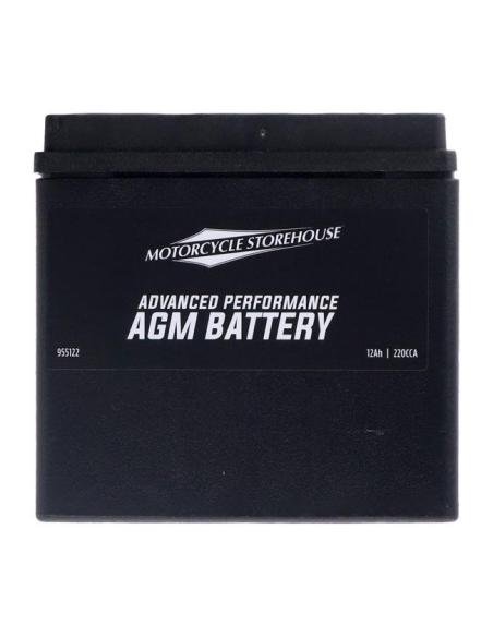 MCS ADVANCED SERIES SEALED AGM BATTERY YTX14L