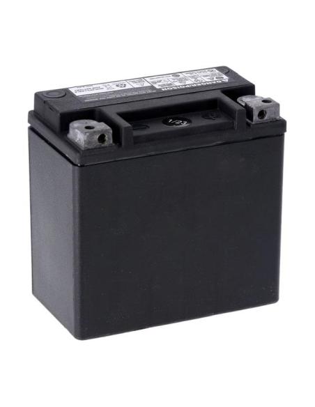 BATTERIE MCS SERIE ADVANCE AGM SCELLÉE YTX14L