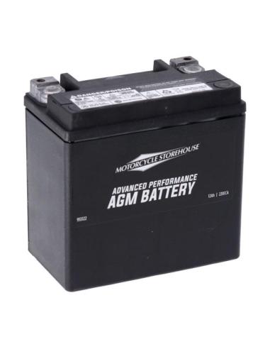 MCS ADVANCED SERIES SEALED AGM BATTERY YTX14L
