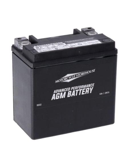BATERIA MCS SÉRIE ADVANCE AGM SELADA YTX14L