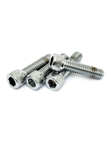 Comprar Tornillo Tapa Torreta Acero Inoxidable 5/16-18 X 1 1/4 Pulgadas a precio de oferta