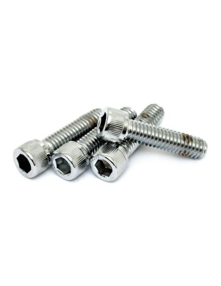 Comprar Tornillo Tapa Torreta Acero Inoxidable 5/16-18 X 1 1/4 Pulgadas a precio de oferta