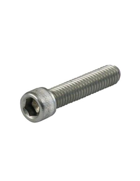 Comprar Tornillo Tapa Torreta Acero Inoxidable 5/16-18 X 1 1/4 Pulgadas a precio de oferta
