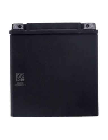 Comprar Batería Mcs Agm Advance Series Agm Sellada Ytx30L a precio de oferta