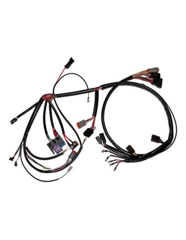 Buy Complete Wiring Harness Kit Harley Davidson Xl 99-03 at Discounted Price