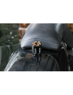 VIS ARRIÈRE EN ALUMINIUM TAMBOUR RÉVOLVER NOIR POUR HARLEY DAVIDSON 2