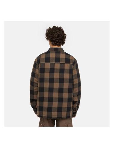 copy of CHEMISE DICKIES SACRAMENTO ELM GREEN