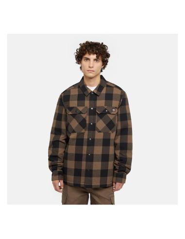copy of CHEMISE DICKIES SACRAMENTO ELM GREEN