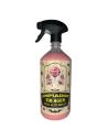 DETERGENTE SENZA ACQUA FINITURA ALTA LUCENTEZZA 1L