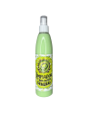 LIMPADOR GERAL SEM ÁGUA 250ML