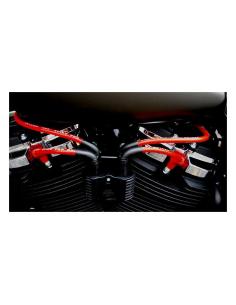 Acquista Taylor 409 Pro-Race - Set di Cavi Candela Rosso (4 Pezzi) Per Harley M8 Softail 18-24 a prezzo speciale 2