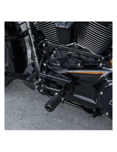 Kit Commandes Centrales Arlen Ness FLT 09–23 | Iguana Custom
