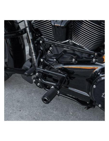Kit Commandes Centrales Arlen Ness FLT 09–23 | Iguana Custom