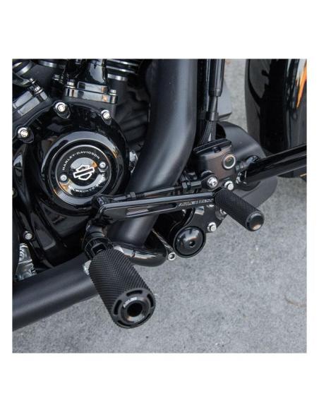 Kit Commandes Centrales Arlen Ness FLT 09–23 | Iguana Custom