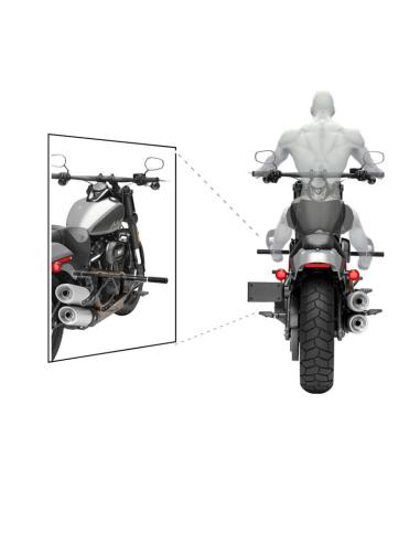Protection CLUB STYLE Harley Softail Commandes Centrales | Iguana Custom