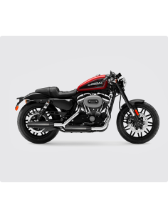 Escapamentos Raidrunner Slip-On ECE para Harley Sportster XL 2014+ 2