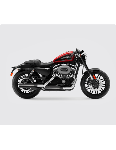 Raidrunner Slip-on Exhausts ECE for Harley Sportster XL 2014+