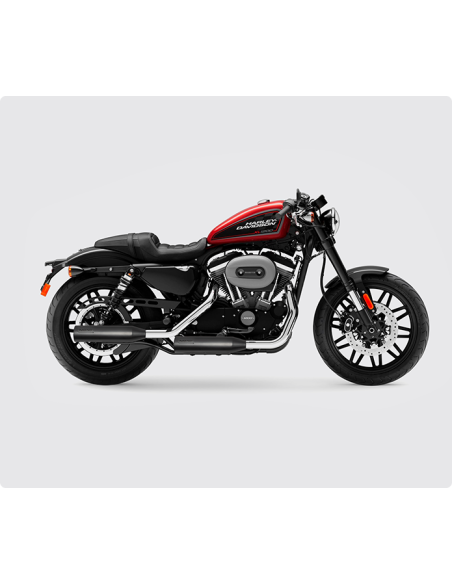 Escapamentos Raidrunner Slip-On ECE para Harley Sportster XL 2014+