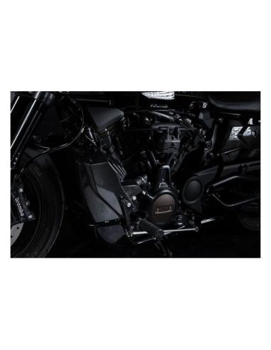 Kit Zard cobertura de radiador e painel lateral carbono RH1250S 21–25