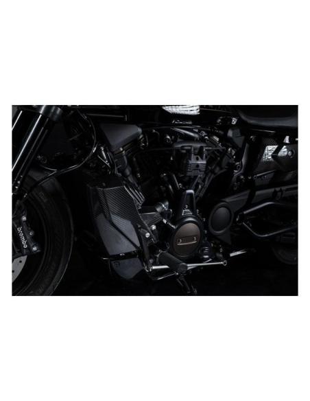 Kit Zard couvre-radiateur et panneau latéral carbone RH1250S 21–25