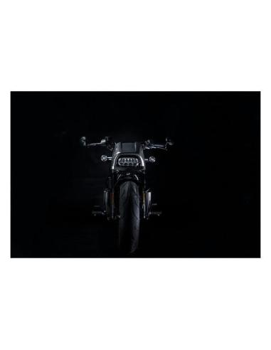 Zard Carbon Headlight Fairing for Sportster S 21–25