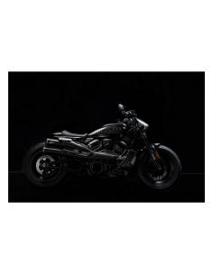 Cúpula Zard de faro en carbono para Sportster S 21–25 2