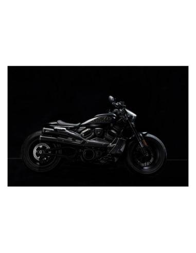 Zard Carbon Headlight Fairing for Sportster S 21–25