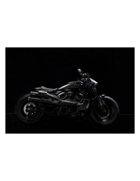 Cúpula Zard de faro en carbono para Sportster S 21–25
