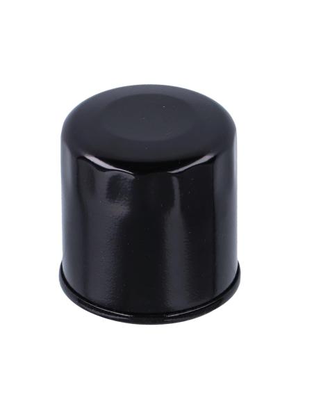 SPIN-ON OIL FILTER BLACK 63806-00Y CHAMPION