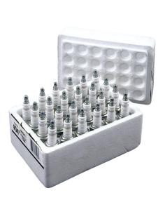 PACK OF 24 CHAMPION SPARK PLUGS RN12YC 5R6A