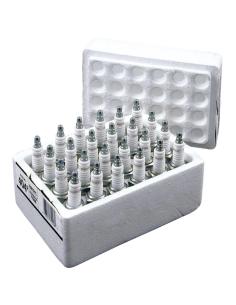 PACK OF 24 CHAMPION SPARK PLUGS RN12YC 5R6A 2