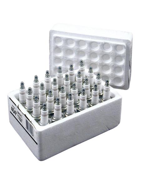 PACK DE 24 BOUGIES CHAMPION RN12YC 5R6A