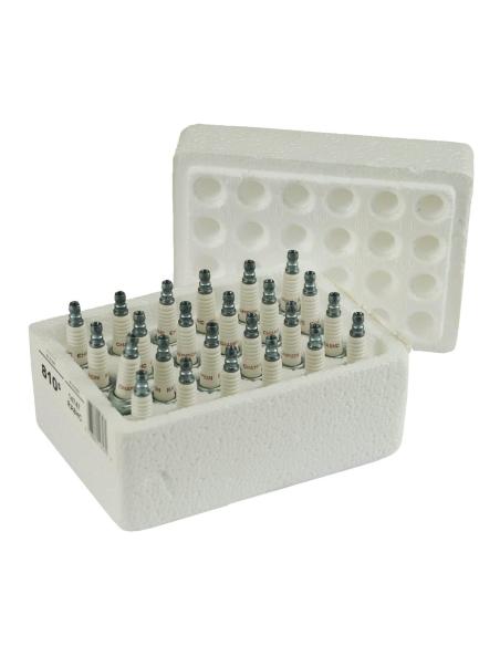 PACK OF 24 CHAMPION SPARK PLUGS RA8HC 6R12