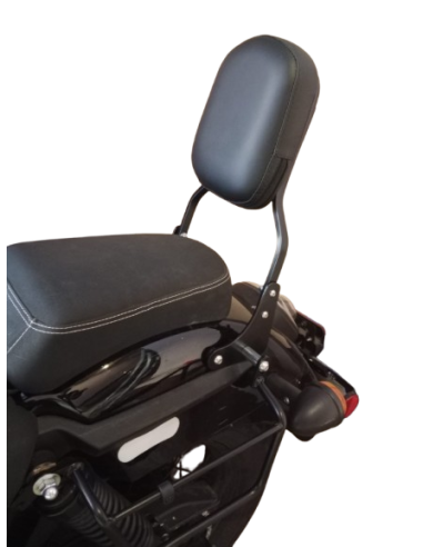 DOSSIER NOIR SANS PORTE-BAGAGES POUR RENEGADE COMMANDO 125/300