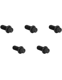 Viti in titanio derby 12-point nero Arlen Ness