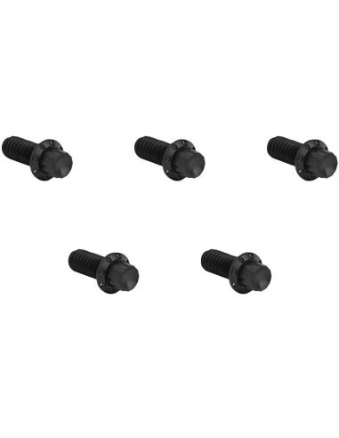 Black 12-Point Titanium Derby Bolts by Arlen Ness