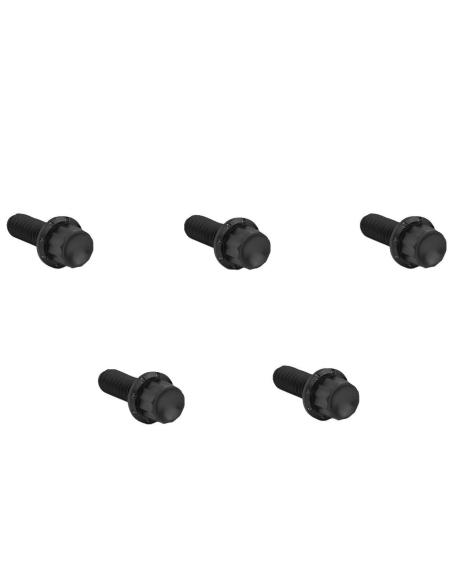 Black 12-Point Titanium Derby Bolts by Arlen Ness