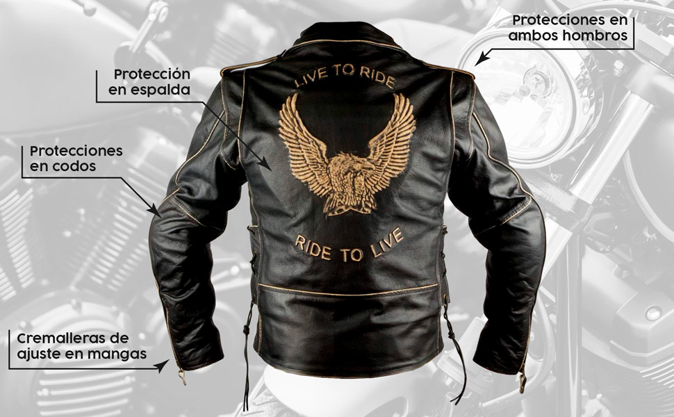 Vista posterior de la chaqueta de cuero envejecido modelo Águila.