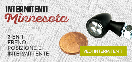 Intermitentes traseros para moto 3 en 1 Minnesota