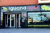 Iguana Custom Sevilla